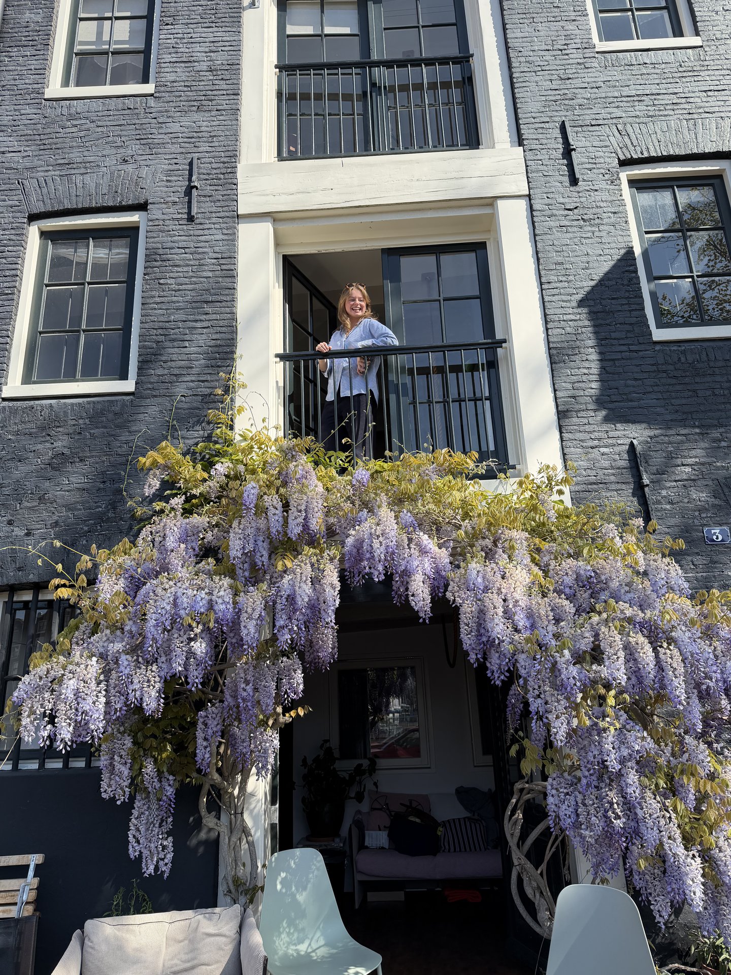 A person stands smiling on a balcony of an Amsterdam canal house, beautifully adorned with a vibrant purple wisteria arch